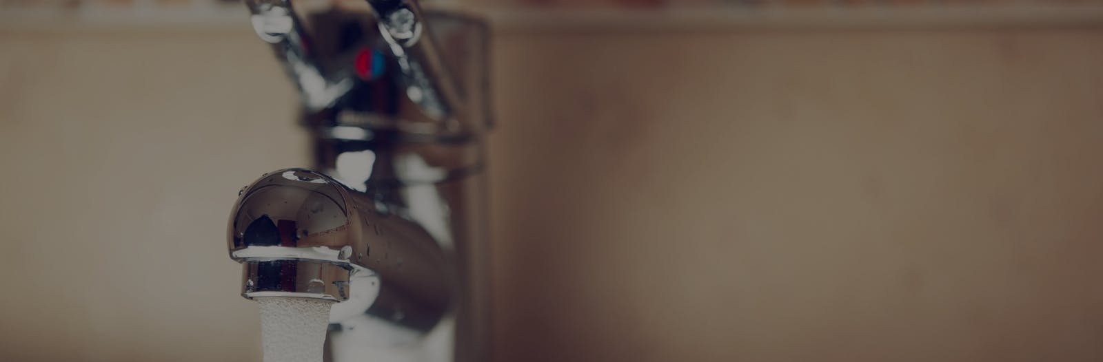Gallery page header